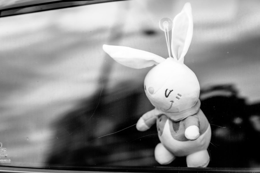 Bunny rabbit soft toy stuck to a car window