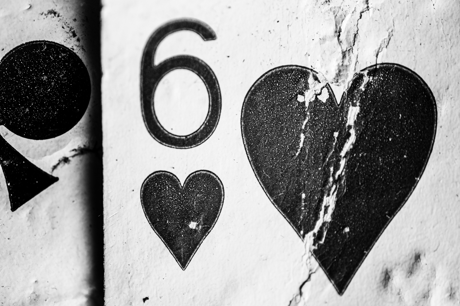 Playing card 6 hearts black and white fine art photograph