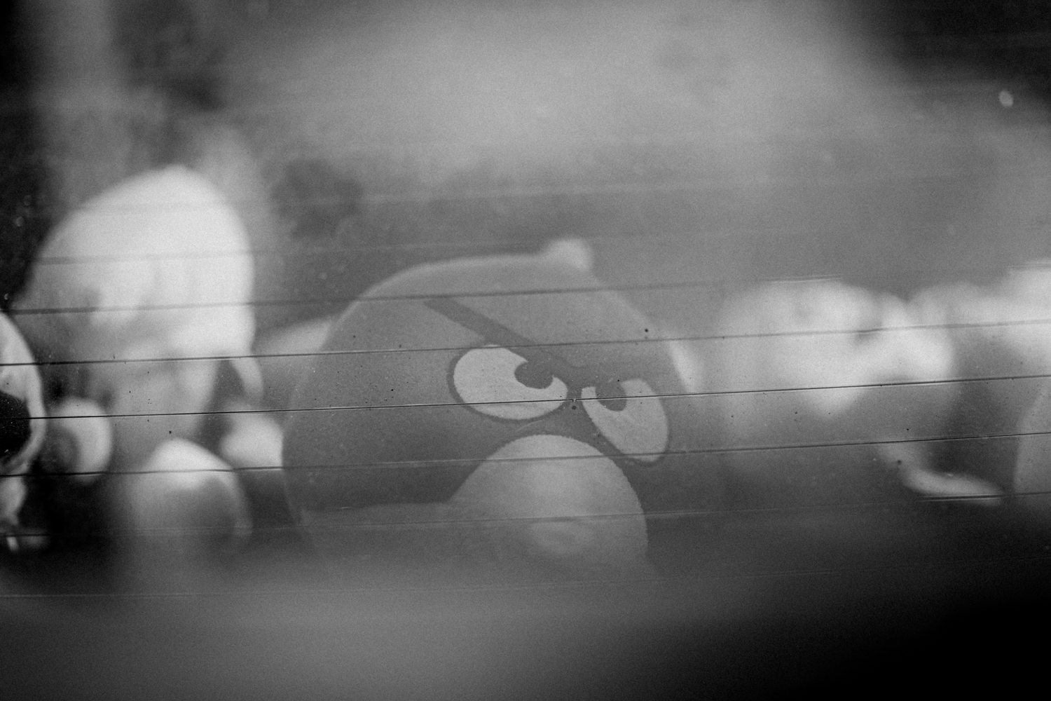 Dashboard toys in Malaysia are common, angry bird photo in black and white.