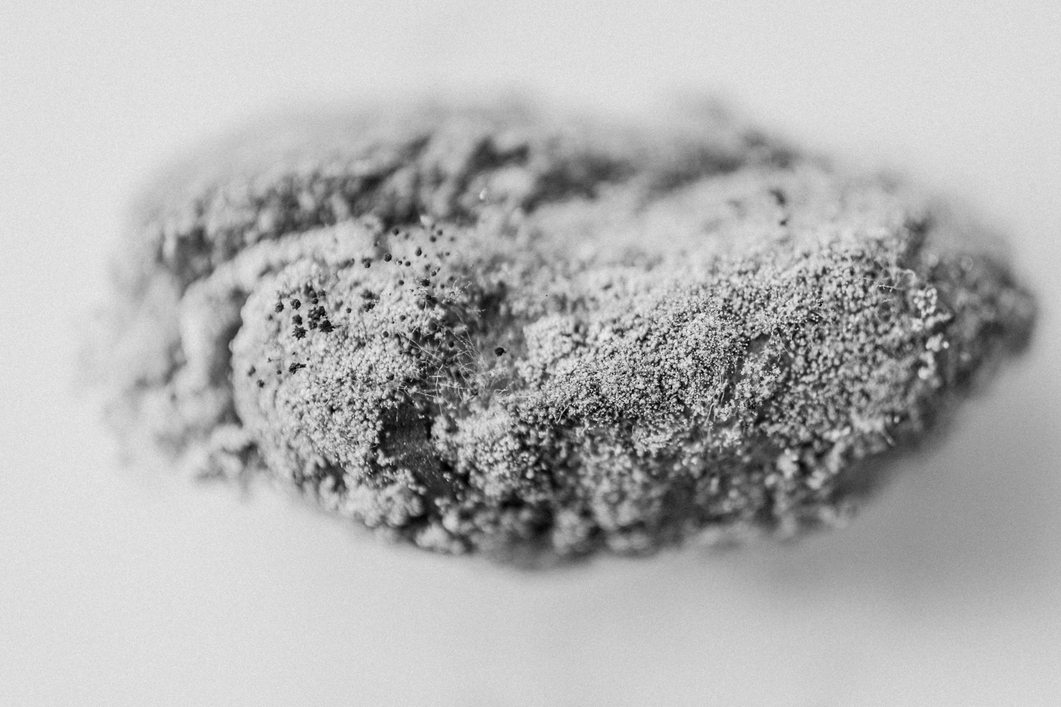 Jackfruit seeds with fuzzy mold fine art macro lens photos