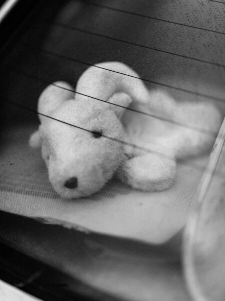 Dashboard gallery ram soft toy in an abandoned vehicle in Kuala Lumpur