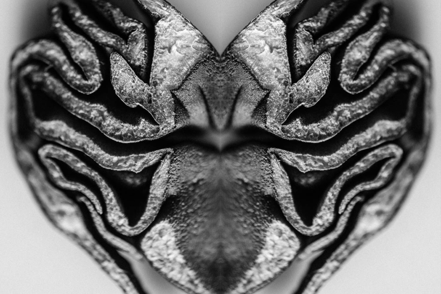 Labyrinth patterns heart butterfly black and white photograph