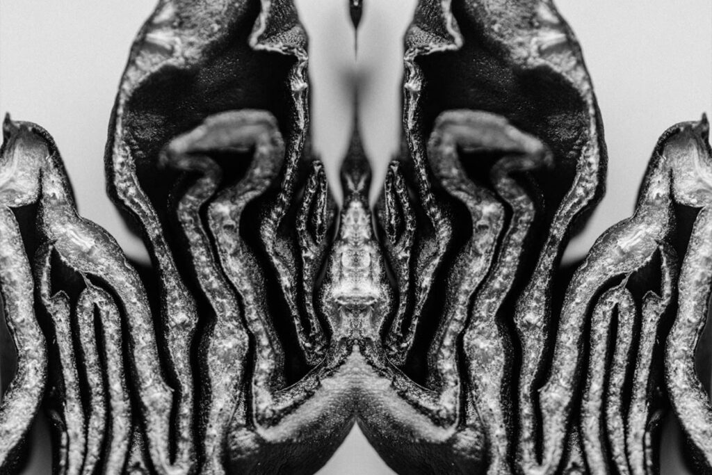 Labyrinth patterns minotaur black and white artwork