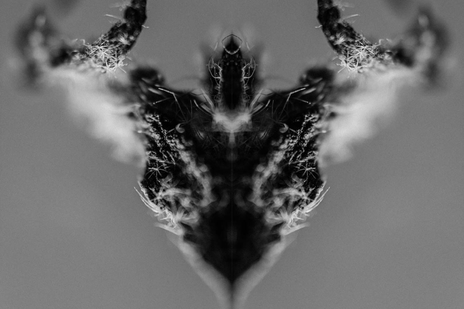 Mythological creatures black and white art work