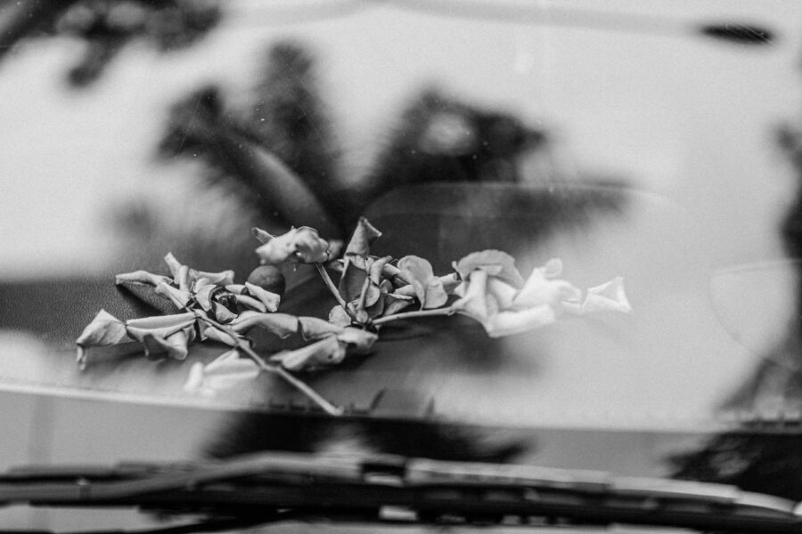Car dashboard accessories dried leaves and tree branch