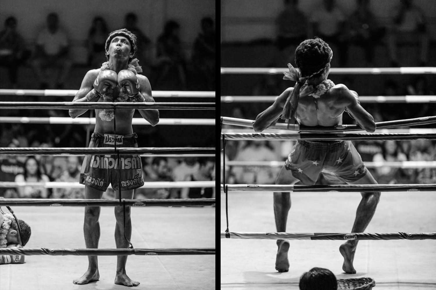 Muay Thai boxing fighter leaning against the ring ropes