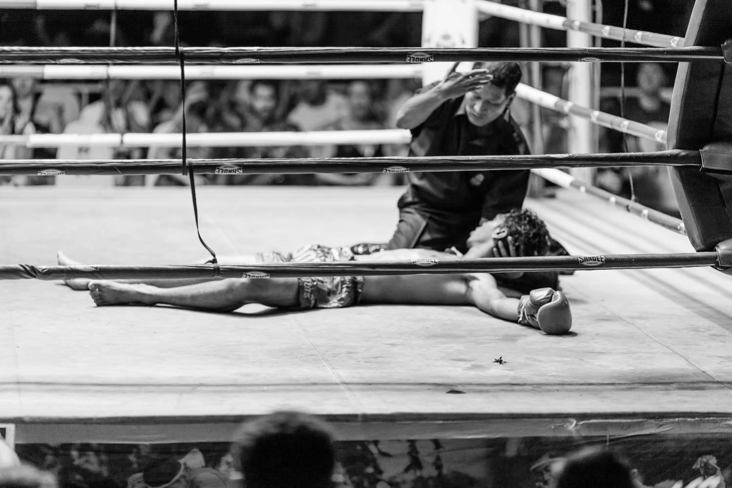 Muay Thai boxing fighter is knocked out, Phuket - Thailand.