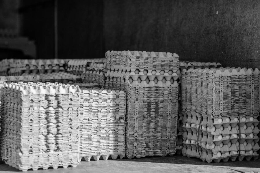 Eggs and egg cartons stacked ready for delivery Taman Tun Dr Ismail [TTDI] Kuala Lumpur - Malaysia