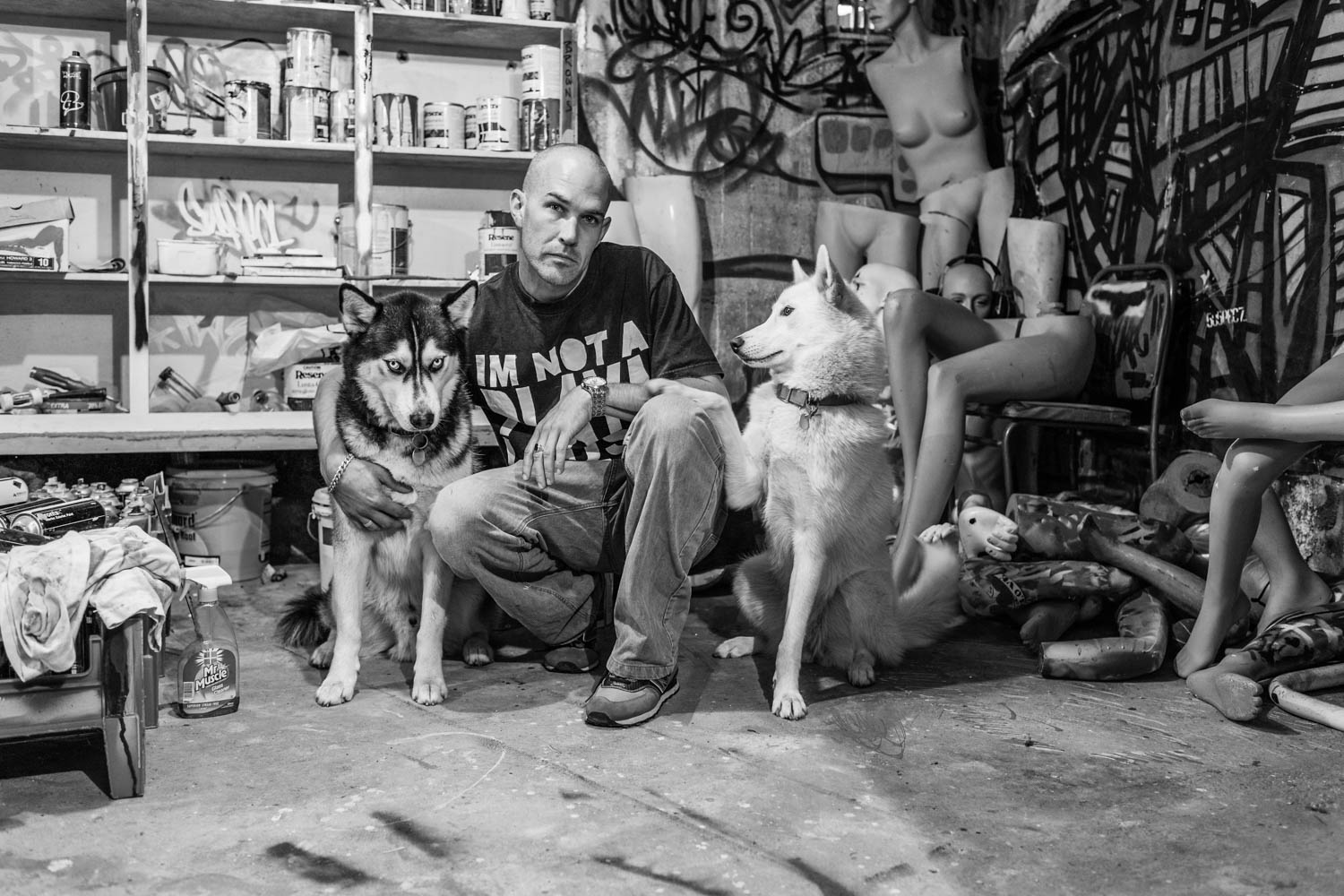 Phil Jones and his dogs in his studio.