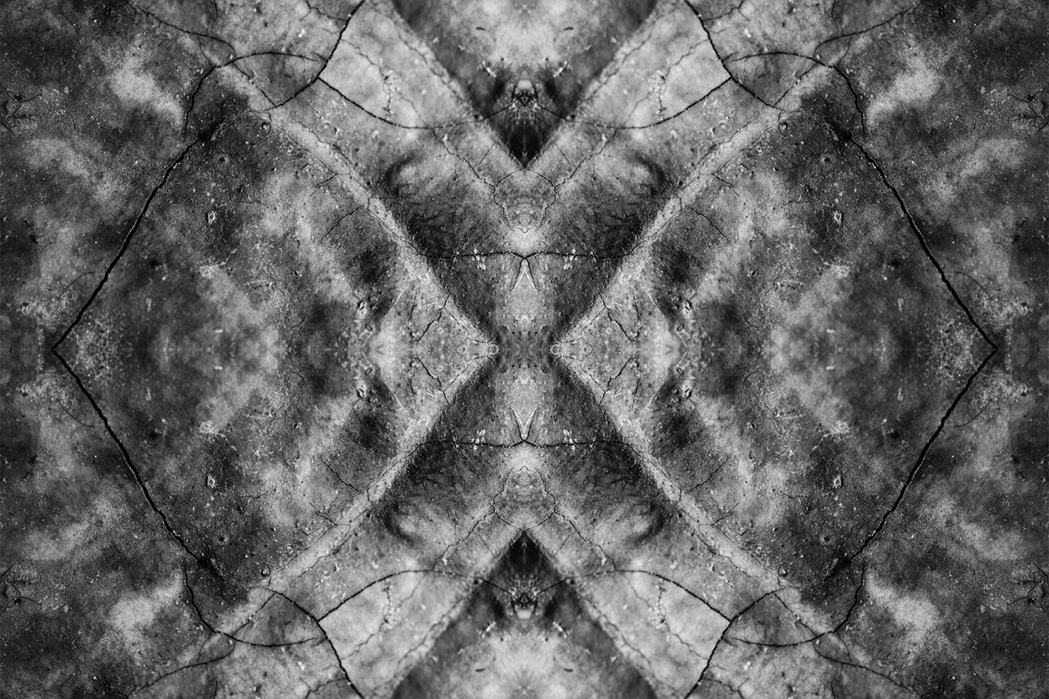 Patterns and shapes created mirroring images of a reishi mushroom.