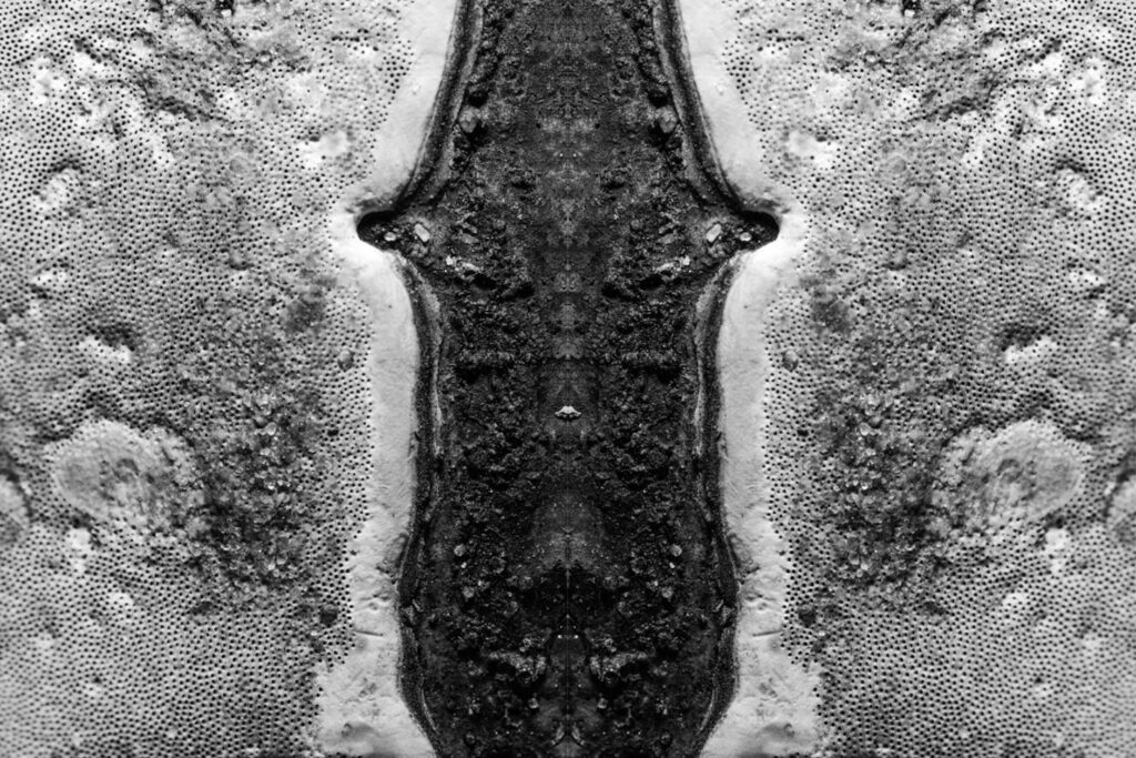 Pareidolia effect, mask photo in black and white.