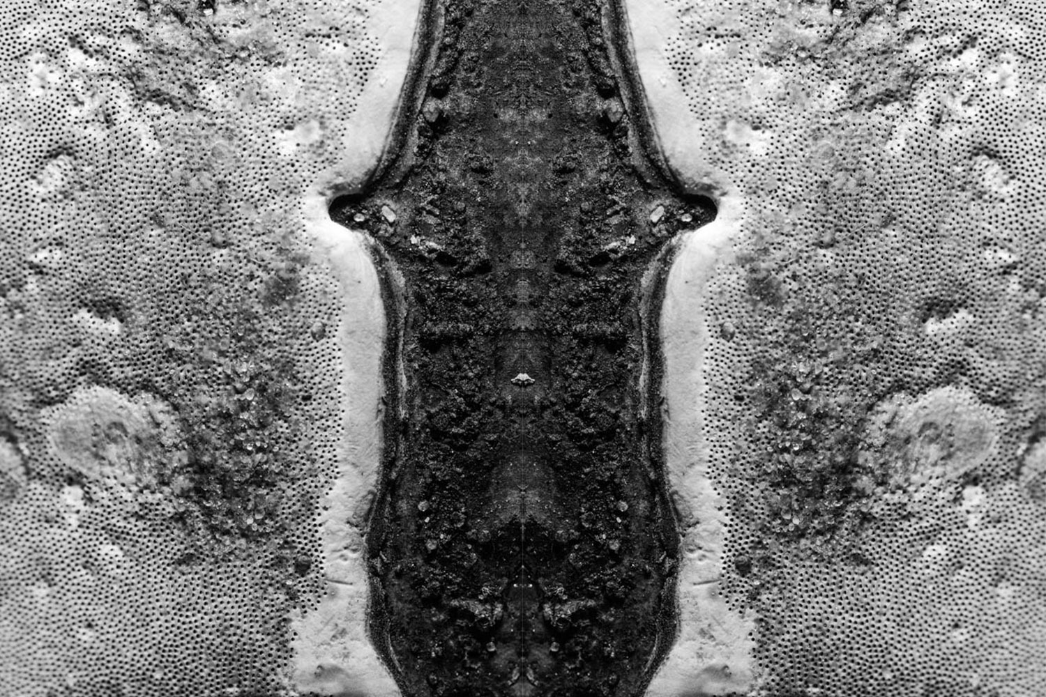 Pareidolia effect, mask photo in black and white.