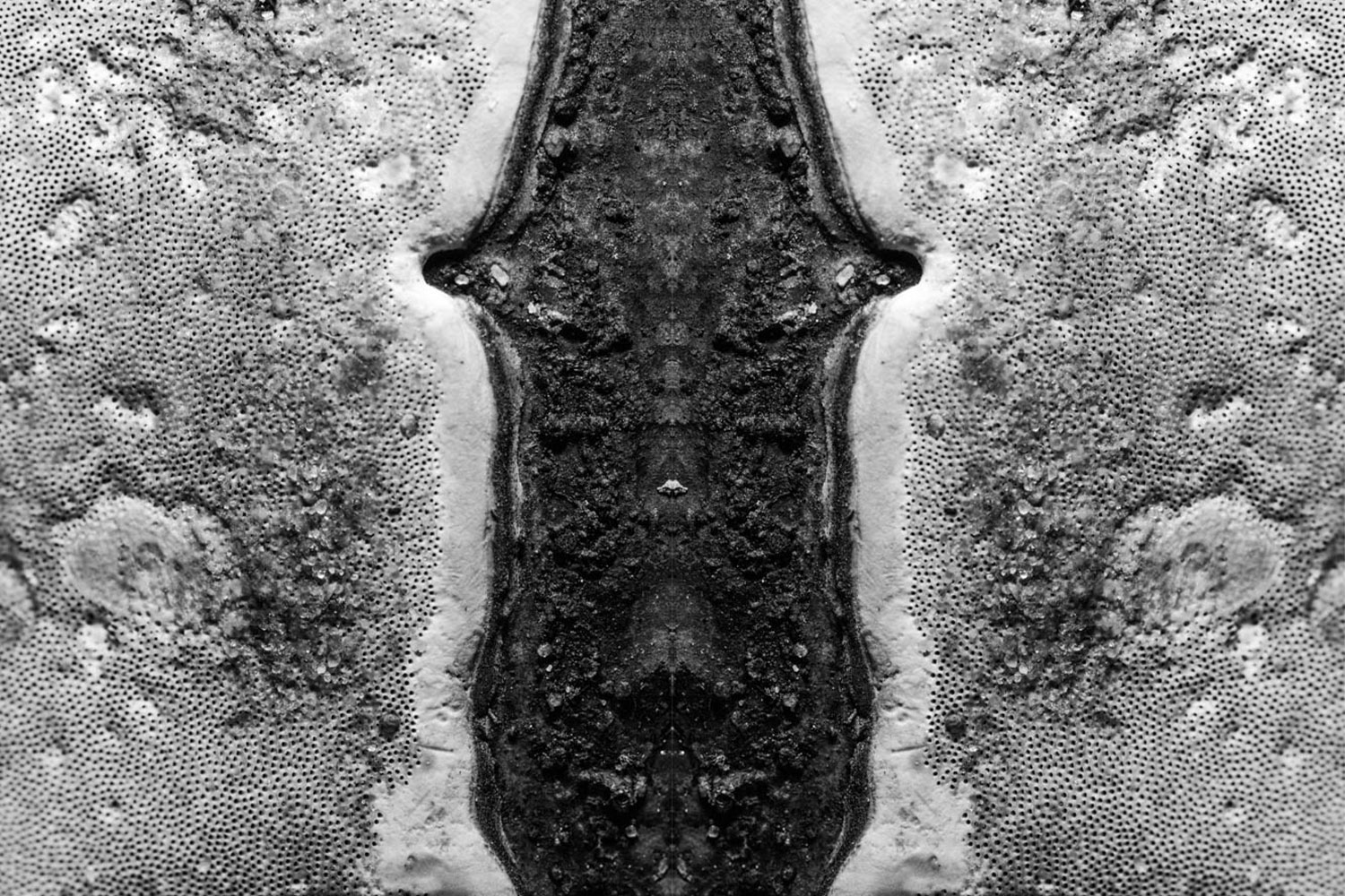 Pareidolia effect, mask photo in black and white.