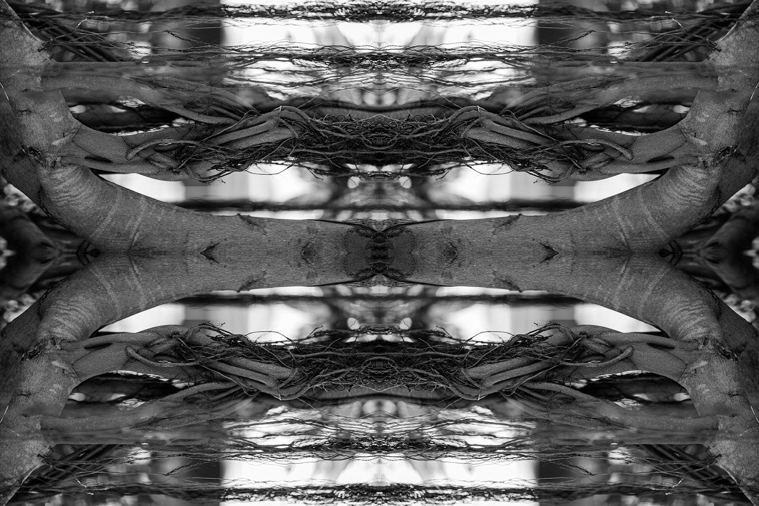 Tree kaleidoscope abstract art in black and white.