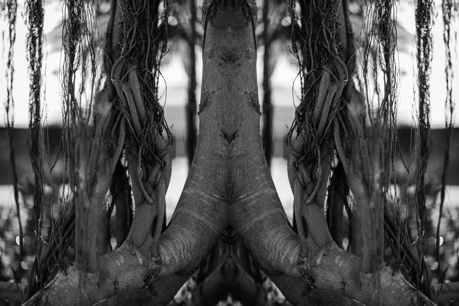 Kaleidoscope black and white photo.
