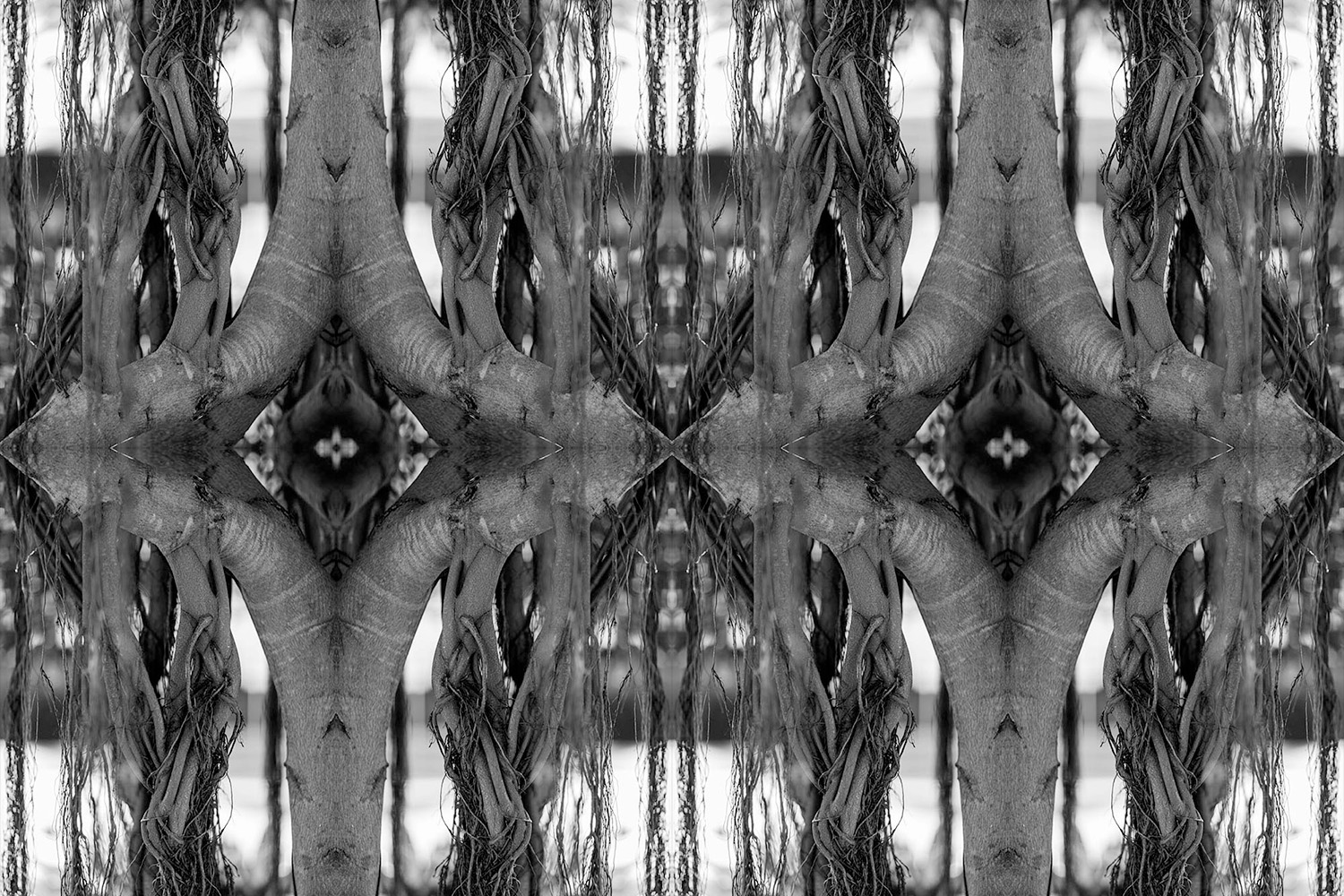 Banyan tree aerial roots kaleidoscope artwork.