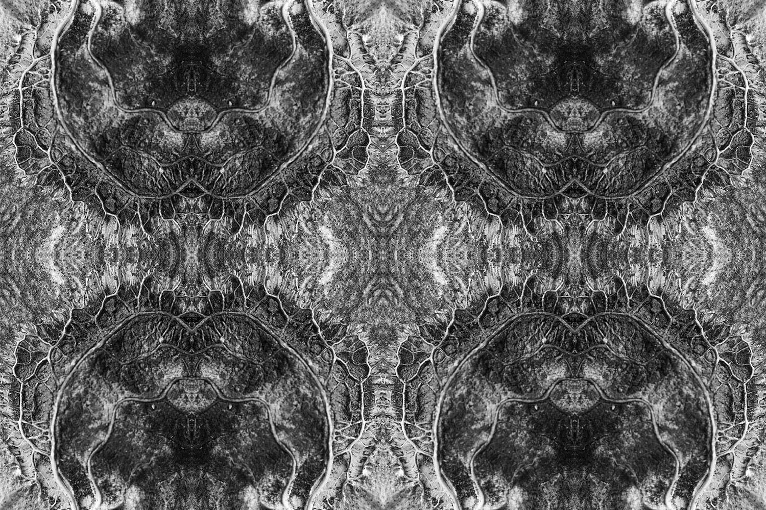 Pterocarpus indicus seed pod pattern artwork.