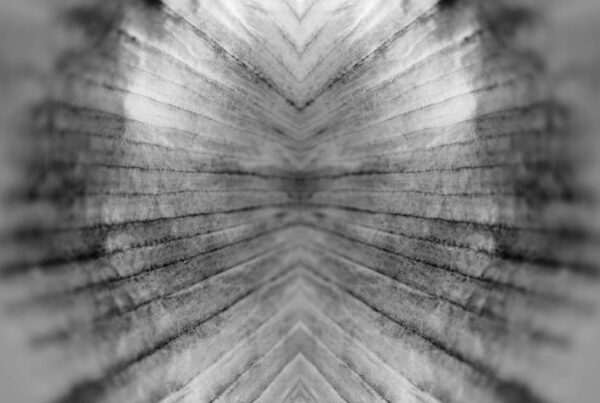Pattern made using an unpeeled clove of garlic.