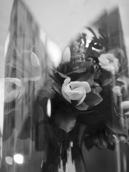 Artificial flowers in a vase and apartment tower reflections.