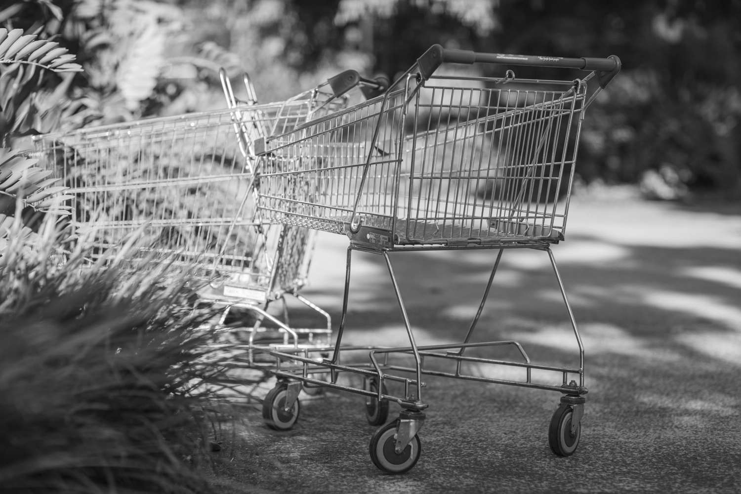 Woolworths shopping trolleys left behind at Gasworks Plaza.