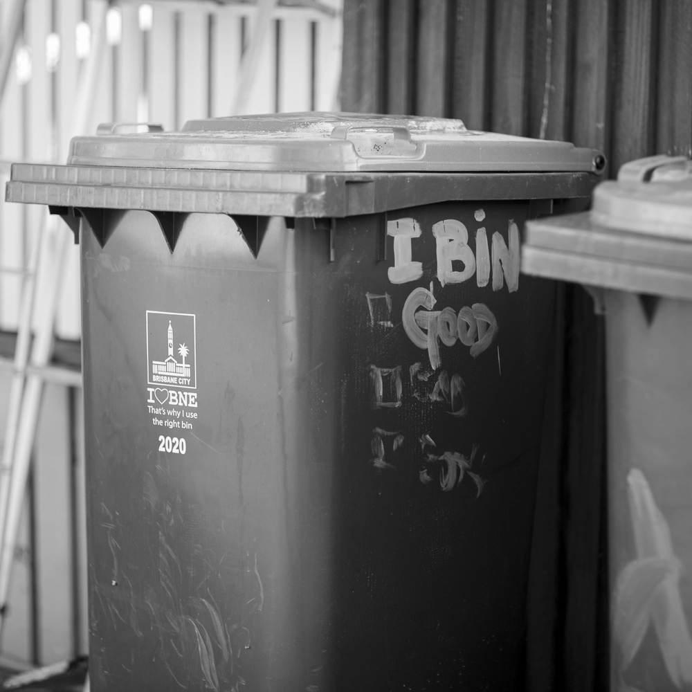 A green wheelie bin with an attitude checklist.