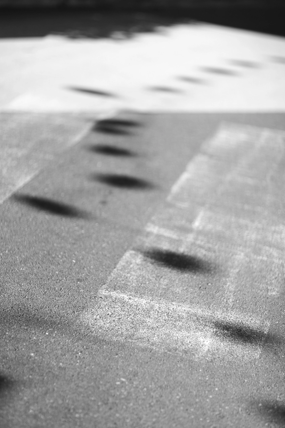 Black circle-shaped shadows form a pattern on the concrete path.