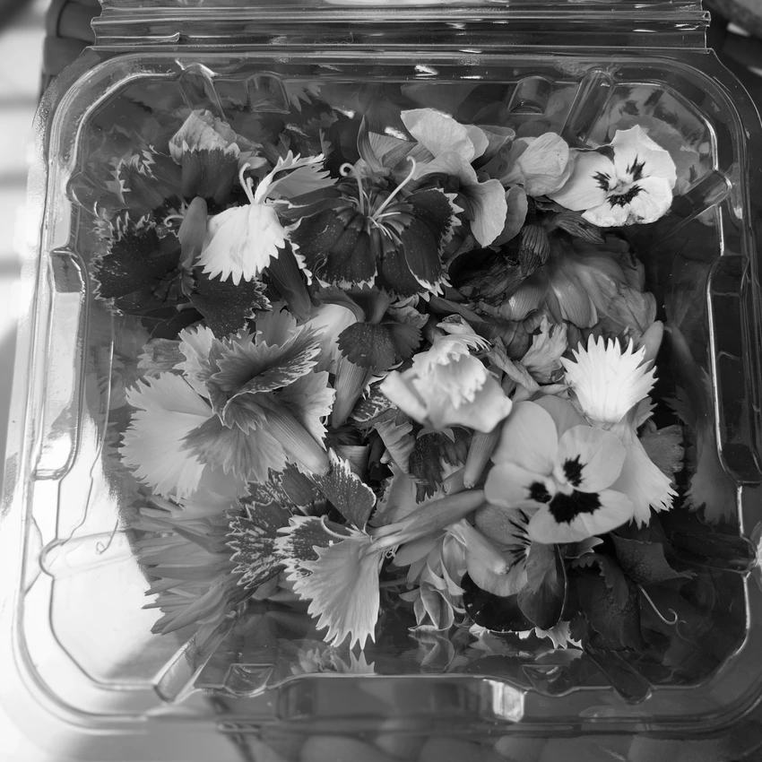 Collection of edible flowers in a plastic container.