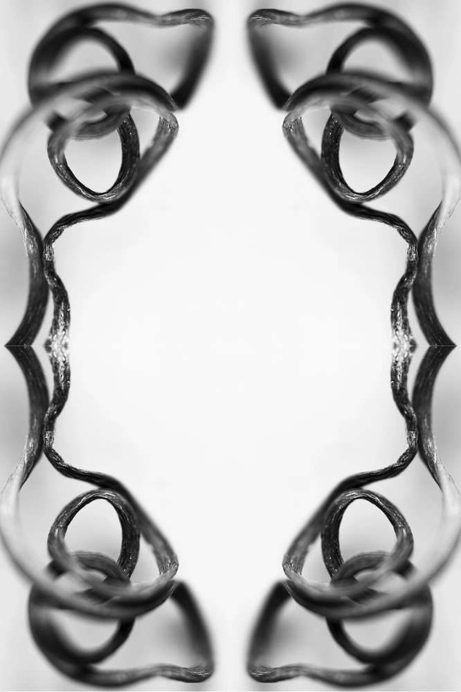 Kaleidoscope pattern using a flower vine.