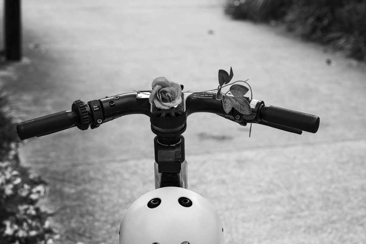 Artificial rose stem resting on an electric scooter handlebars.