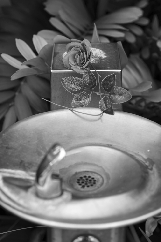 Artificial rose stem placed on an outdoor drinking fountain.