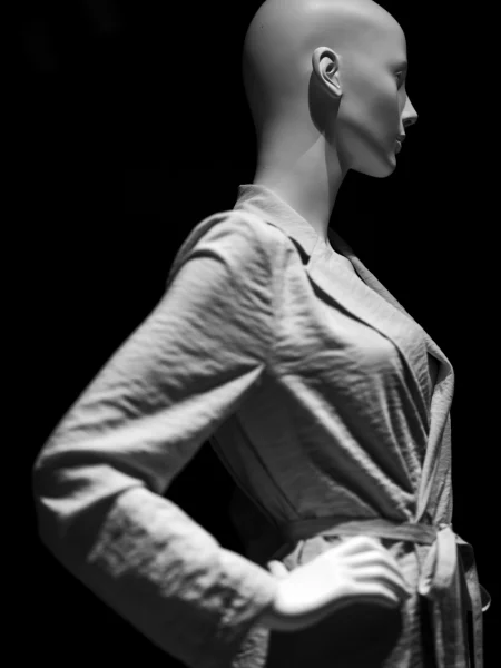 A mannequin in the window display at Seed Heritage in Fortitude Valley.