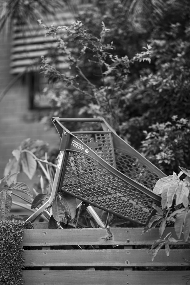 Shopping trolley on top of a fence.