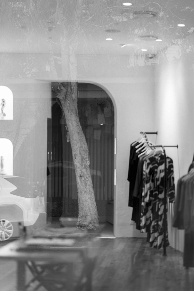 A reflection of a large tree in the Silk Laundry boutique.