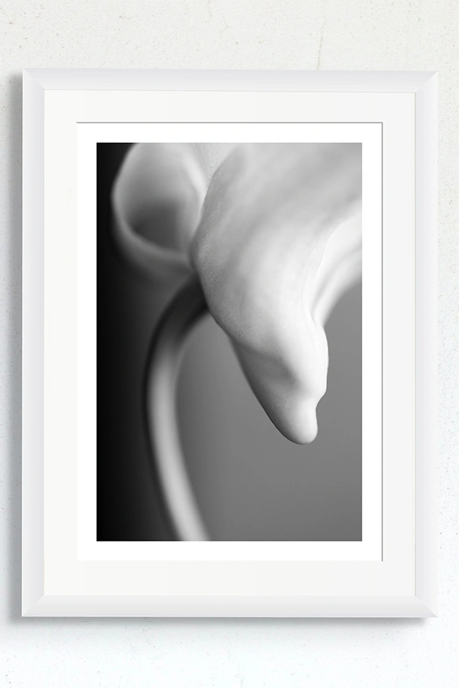 An orchid artwork with a white frame.