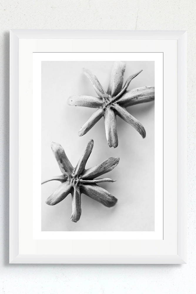 Black and white seed pod limited-edition artwork for sale.