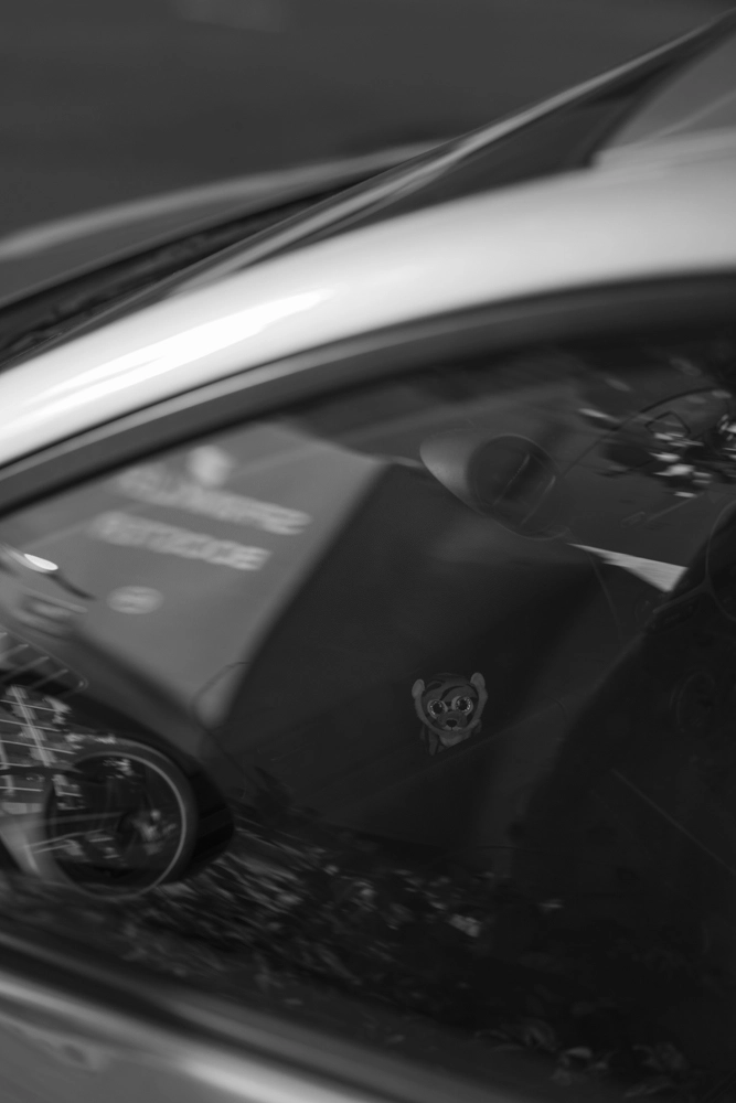 Car reflection with a toy tiger character visible inside, Newstead urban photography in black and white.