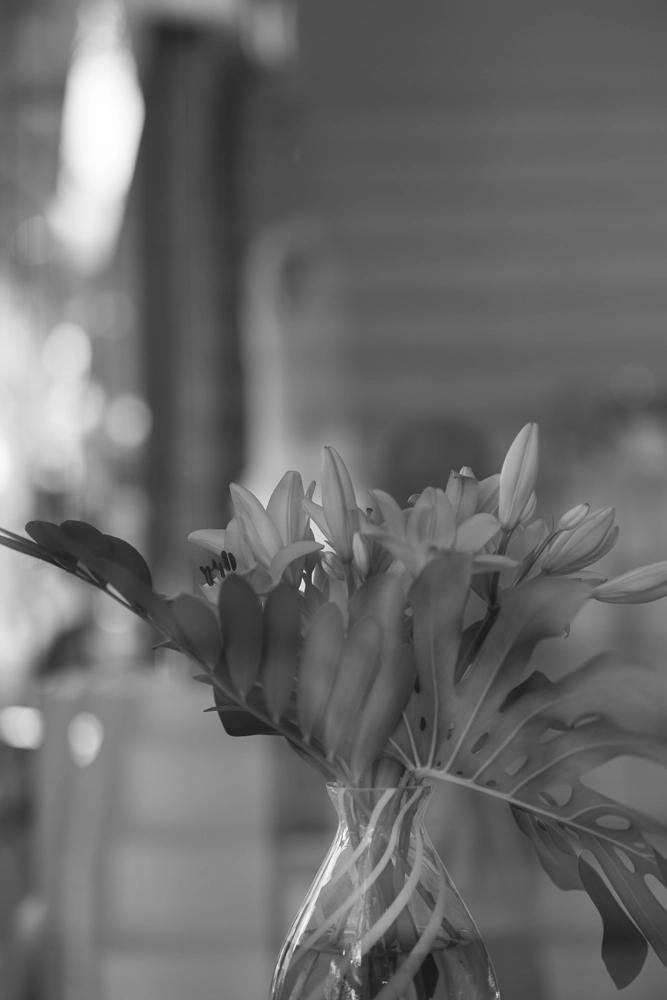 Vase of real Lily flowers in a shop window, with glass reflections layered over, Newstead monochrome street photo.