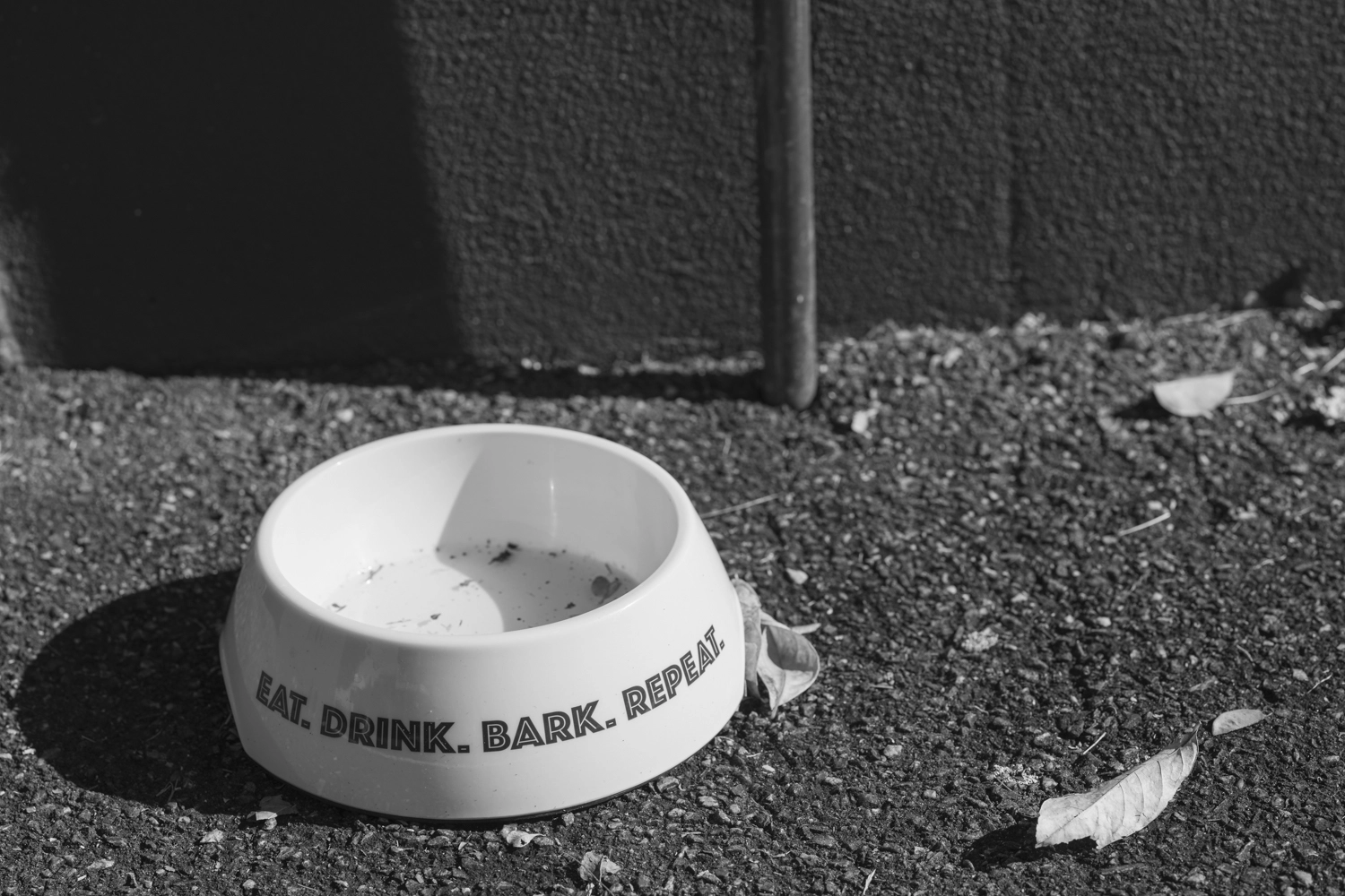 A dog water bowl, eat, drink, bark, and repeat found on Wyandra Street in newstead, 4006.